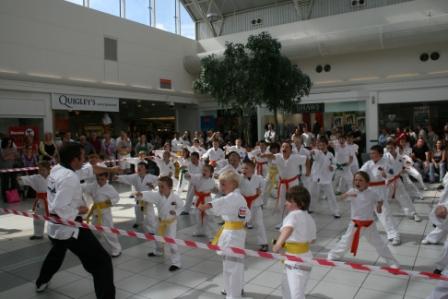 Karate Kid Day at the Cresent Shopping Centre